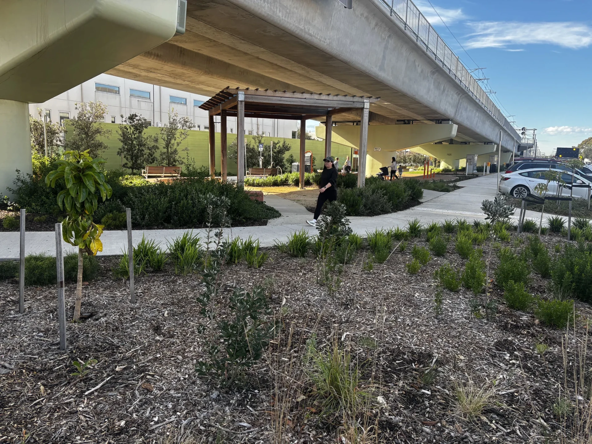 Established planting and finished paths within a completed public-realm area.